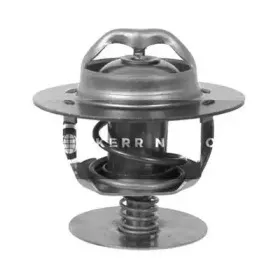 Термостат, охлаждающая жидкость SMPE купить