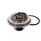 Термостат, охлаждающая жидкость SIDAT купить