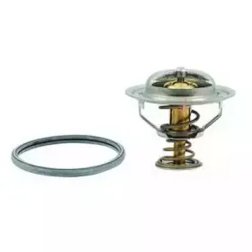 Термостат, охлаждающая жидкость SIDAT купить