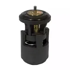 Термостат, охлаждающая жидкость SIDAT купить