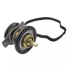 Термостат, охлаждающая жидкость SIDAT купить