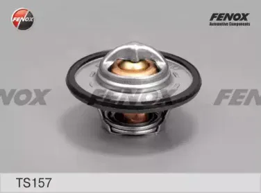 Термостат, охлаждающая жидкость FENOX купить