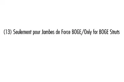 Амортизатор RECORD FRANCE купить