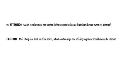 Амортизатор RECORD FRANCE купить