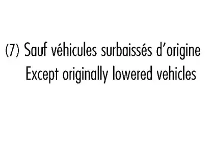 Амортизатор RECORD FRANCE купить