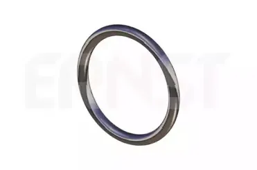 Уплотнительное кольцо, труба выхлопного газа ERNST купить