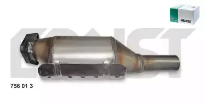 Катализатор ERNST купить