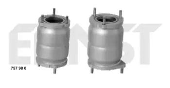 Катализатор ERNST купить