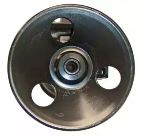 Гидравлический насос, рулевое управление LIZARTE купить