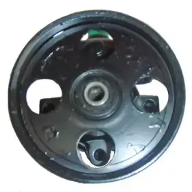 Гидравлический насос, рулевое управление LIZARTE купить