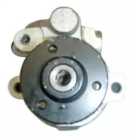 Гидравлический насос, рулевое управление LIZARTE купить