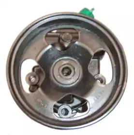 Гидравлический насос, рулевое управление LIZARTE купить