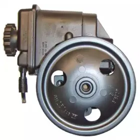 Гидравлический насос, рулевое управление LIZARTE купить