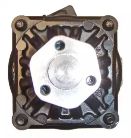 Гидравлический насос, рулевое управление LIZARTE купить