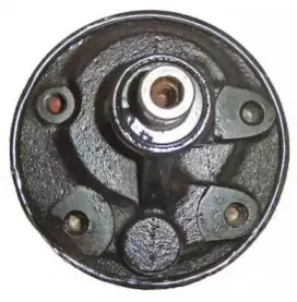 Гидравлический насос, рулевое управление LIZARTE купить