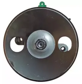 Гидравлический насос, рулевое управление LIZARTE купить