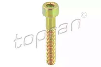 Болт, корпус скобы тормоза TOPRAN купить