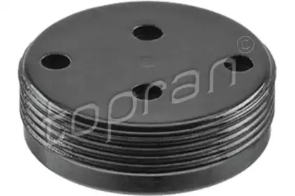 Пробка антифриза TOPRAN купить