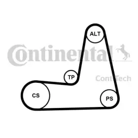Роликовий модуль натягувача ременя (ролик, ремінь) CONTITECH купить