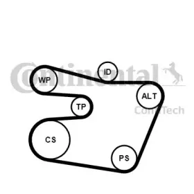 Поликлиновой ременный комплект CONTITECH купить