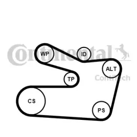 Поликлиновой ременный комплект CONTITECH купить