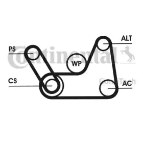 Поликлиновой ременный комплект CONTITECH купить