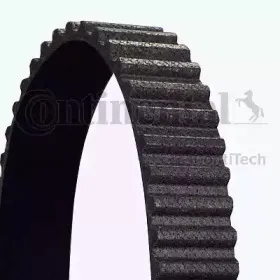CT1077   Ремінь ГРМ CONTI SYNCHROBELT CONTITECH купить