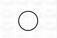 Водяной насос GRAF купить