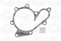 Водяной насос GRAF купить