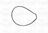 Водяной насос GRAF купить