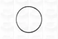 Помпа водяна GRAF купить