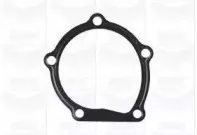 Водяной насос GRAF купить