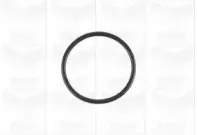 Водяной насос GRAF купить