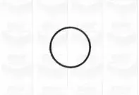 Водяной насос GRAF купить