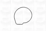 Водяной насос GRAF купить