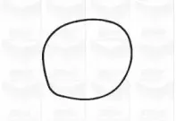 Водяной насос GRAF купить