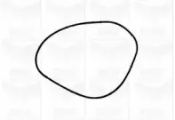 Водяной насос GRAF купить