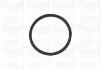 Помпа водяна GRAF купить