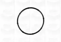 Водяной насос GRAF купить