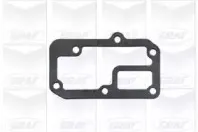 Водяной насос GRAF купить