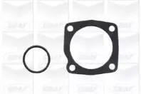 Водяной насос GRAF купить