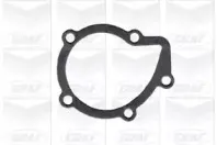 Водяной насос GRAF купить