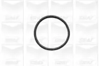 Помпа водяна GRAF купить