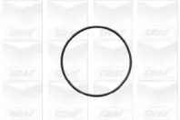 Водяной насос GRAF купить