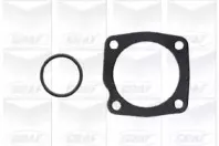 Водяной насос GRAF купить