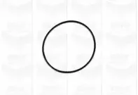 Помпа водяна GRAF купить