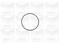 Помпа водяна GRAF купить