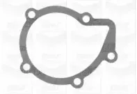 Помпа водяна GRAF купить