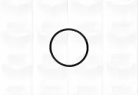 Водяной насос GRAF купить