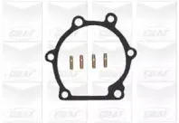 Водяной насос GRAF купить